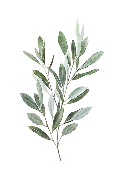 1/3pcs Bohemian Sage Green Leaves Prints Poster Modern Botanical Aesthetics Art Prints Wall Art Home Decor Art Poster Gifts